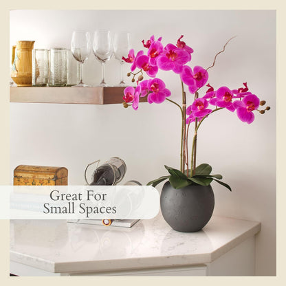 Faux Orchid Plant w/Succulents, 24 in, Grey, Home Decor