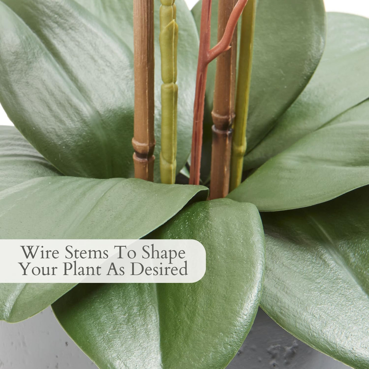 Faux Orchid Plant w/Succulents, 24 in, Grey, Home Decor
