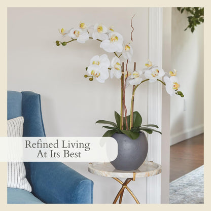 Faux Orchid Plant w/Succulents, 24 in, Grey, Home Decor