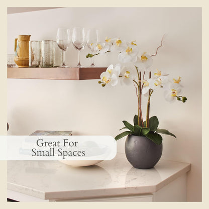 Faux Orchid Plant w/Succulents, 24 in, Grey, Home Decor