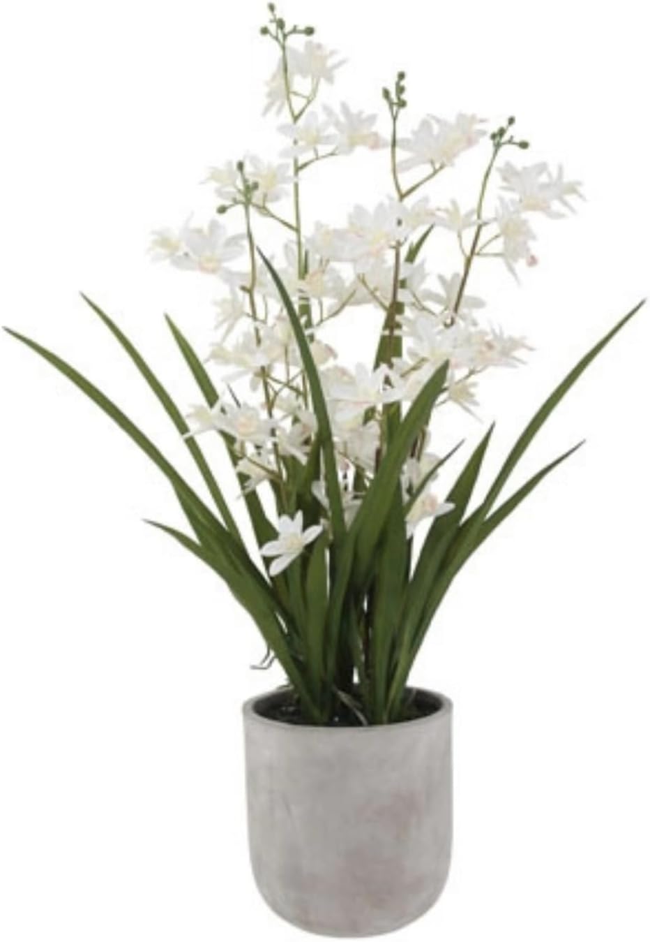 Faux Orchid Plant w/Succulents, 24 in, Grey, Home Decor