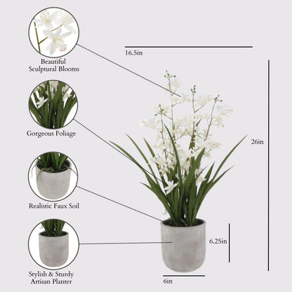 Faux Orchid Plant w/Succulents, 24 in, Grey, Home Decor