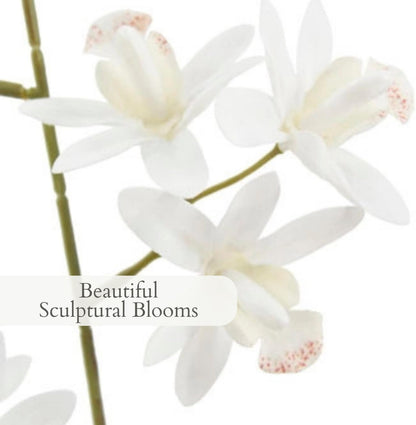 Faux Orchid Plant w/Succulents, 24 in, Grey, Home Decor