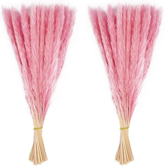 60 Stems Pampas Grass 17.5",Natural Dry Flowers Small Pampas Grass Branches for Vase Flower Arrangement Wedding Kitchen Home Decor（Pink）