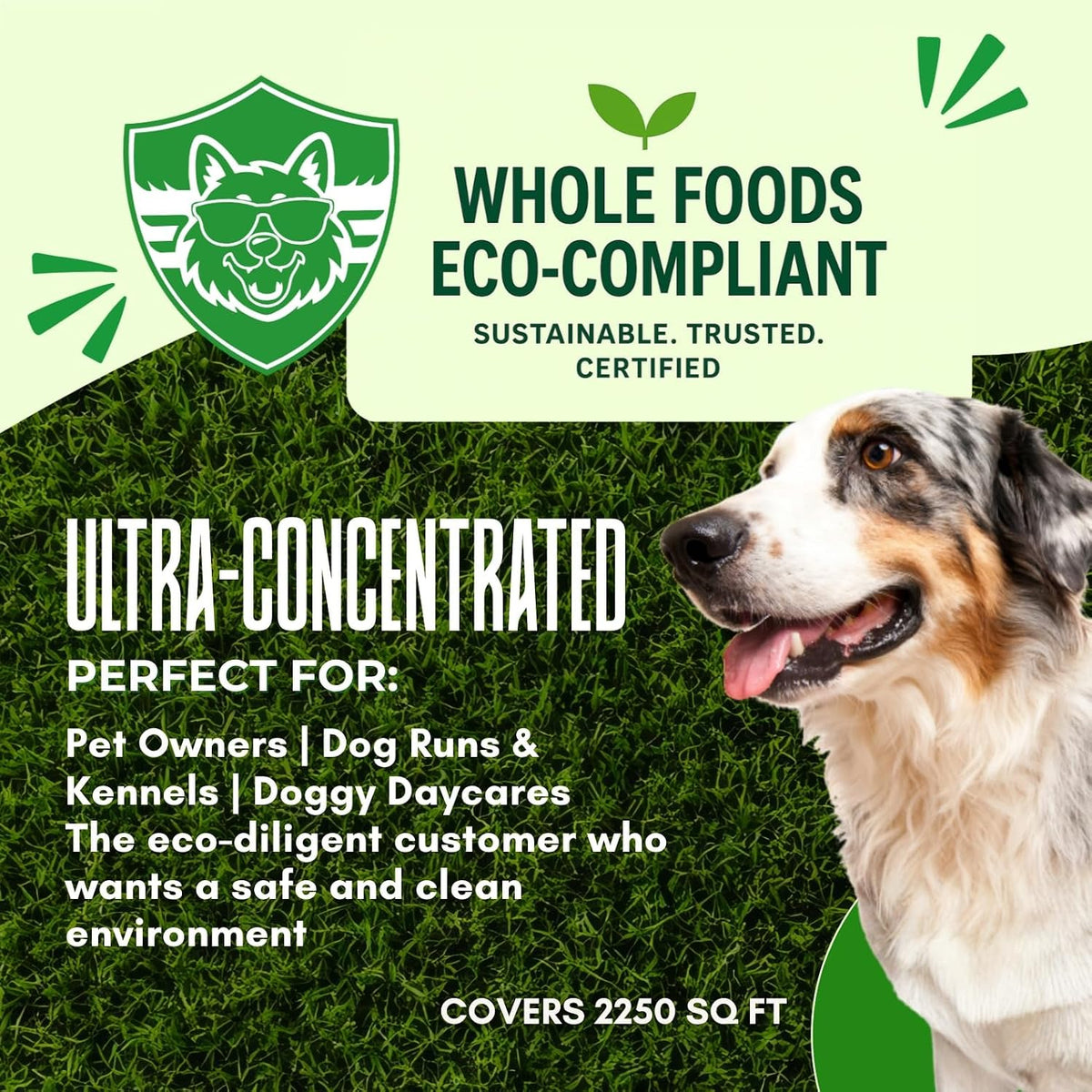 PRO‑STRENGTH Turf Animal Outdoor Pet Odor Remover & Neutralizer for Dogs & Pets – Heavy‑Duty Urine Eliminator for Artificial Turf, Patios & Concrete – Eco‑Friendly – 42.3 fl oz Bag + Sprayer