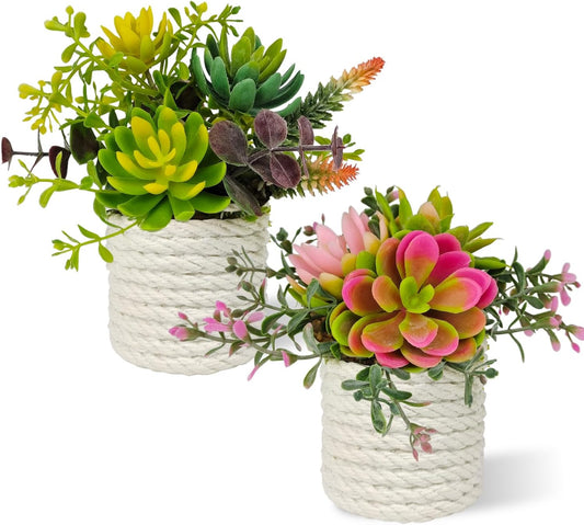 Set of 2 Fake Succulents Plants Artificial Small Succulent Plants Potted for Home Decor Indoor Table Living Room Bedroom Bathroom Shelf Women Office Desk Accessories Decoration (Green)