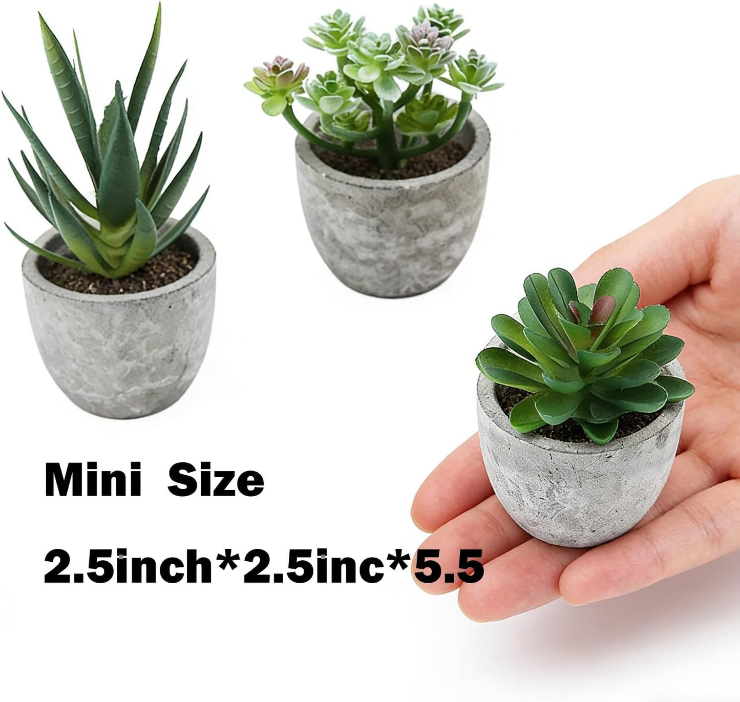 Mini 4 Succulents Plants Artificial in Pots Fake Plants for Bedroom Aesthetic Living Room Shelf Bathroom Decor Office Desk Accessories