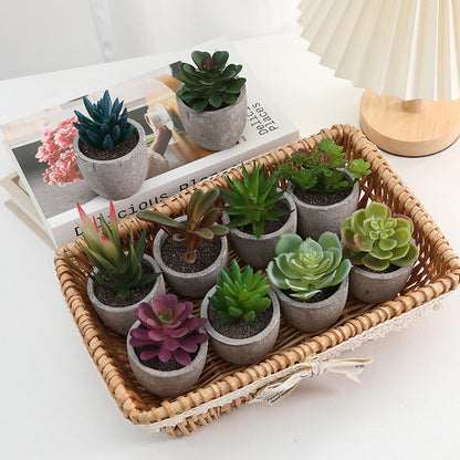 Mini 4 Succulents Plants Artificial in Pots Fake Plants for Bedroom Aesthetic Living Room Shelf Bathroom Decor Office Desk Accessories