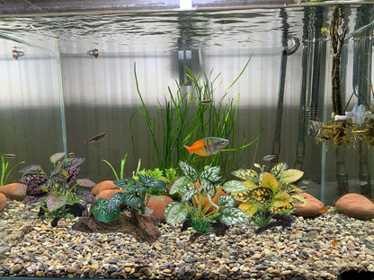 Artificial Fish Tank Plants Aquarium Plant Aquatic Water Grass Foreground Decor (Green)