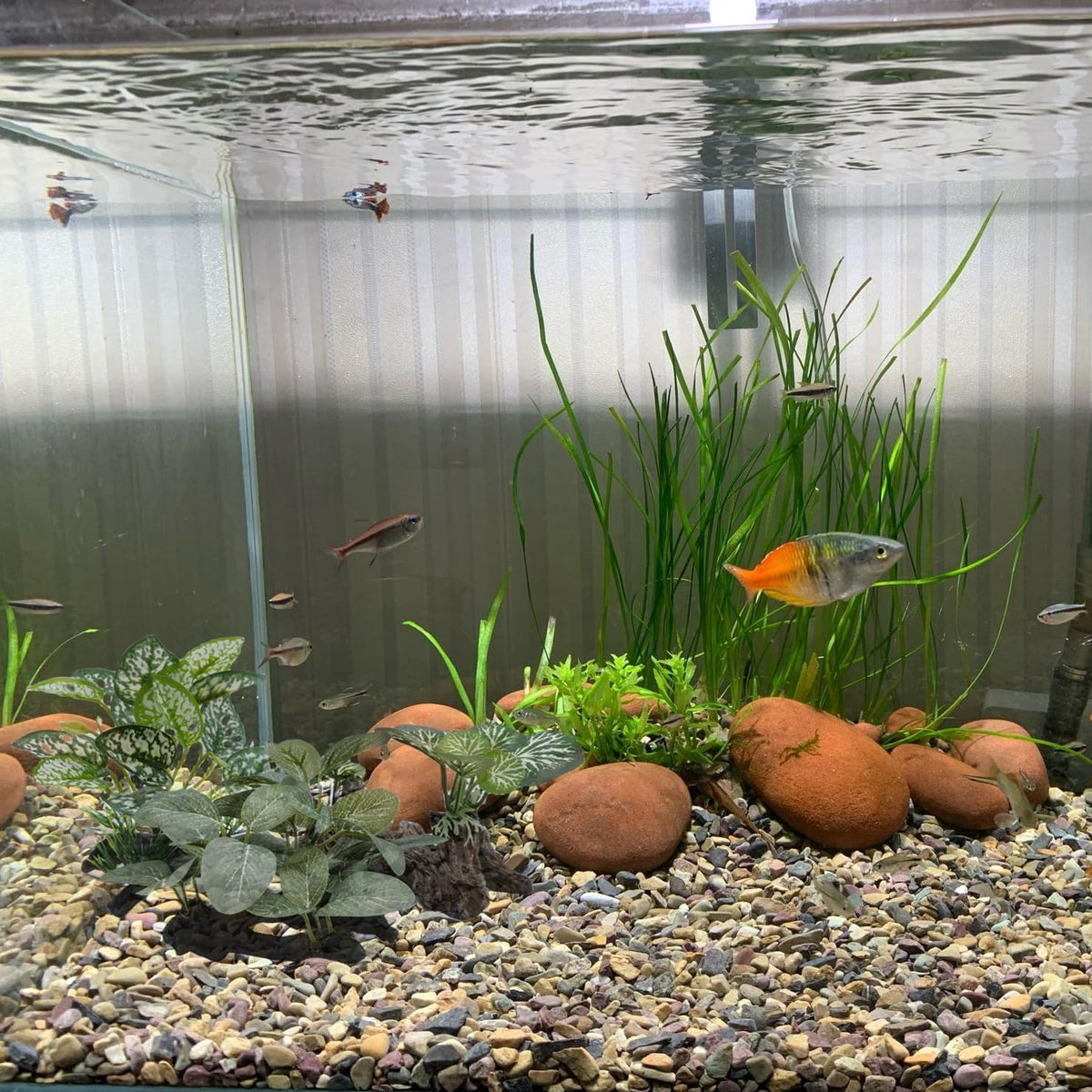 Artificial Fish Tank Plants Aquarium Plant Aquatic Water Grass Foreground Decor (Green)