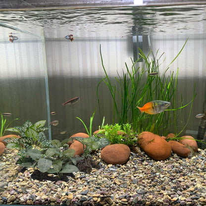 Artificial Fish Tank Plants Aquarium Plant Aquatic Water Grass Foreground Decor (Green)