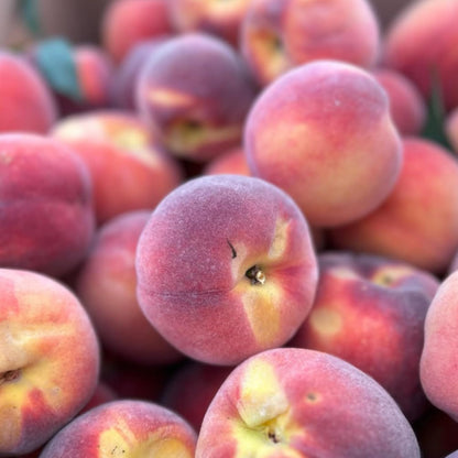 Peach Live Plant, Grafted Peach Plant 1 Feet Tall, Fruit Tree Well-Rooted for Planting (Golden Yellow)