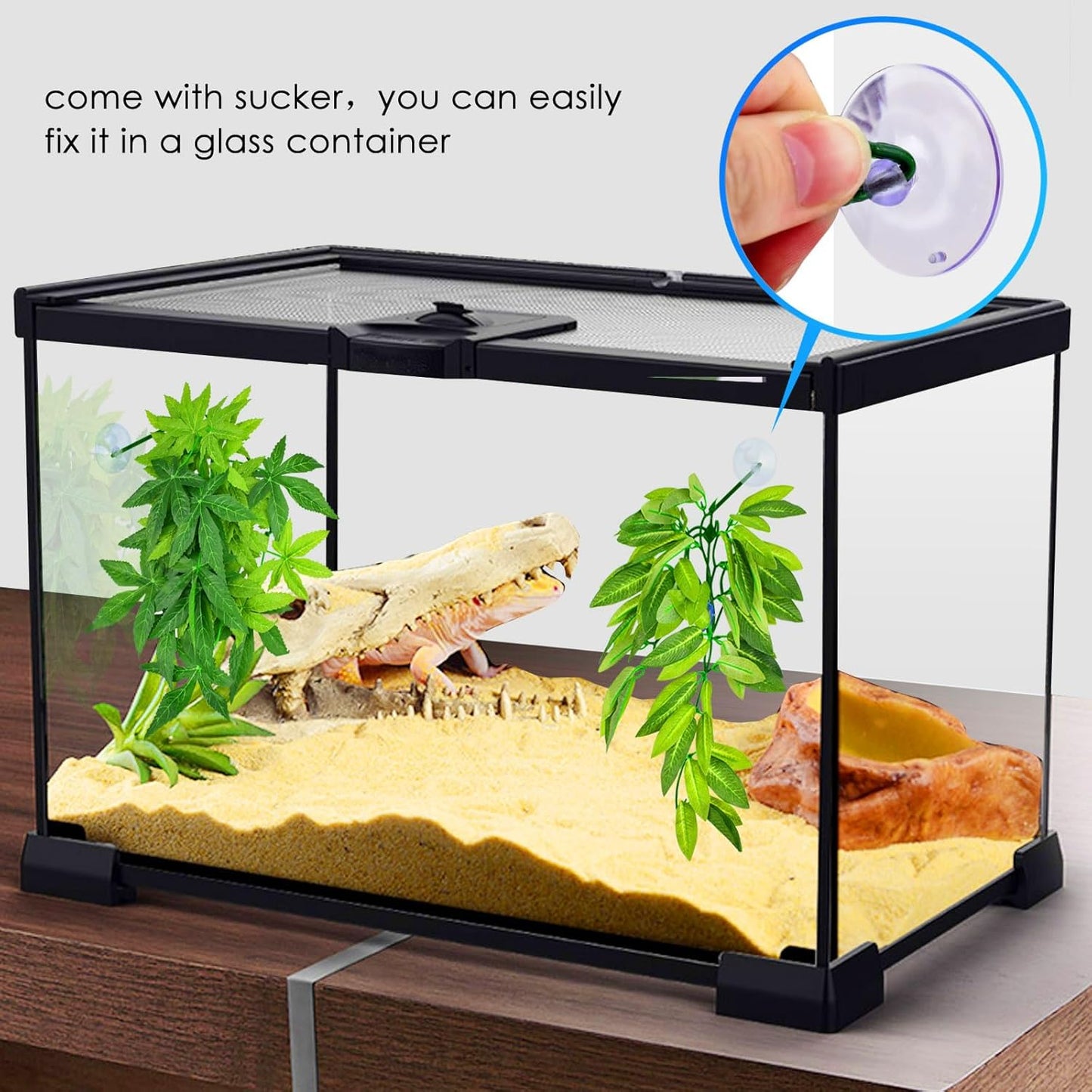 Reptile Plants, 3 PCS Amphibian Hanging Plants with Suction Cup for Snake, Bearded Dragons, Lizards, Geckos, Toads, Hermit Crab Tank Pets Habitat Decorations