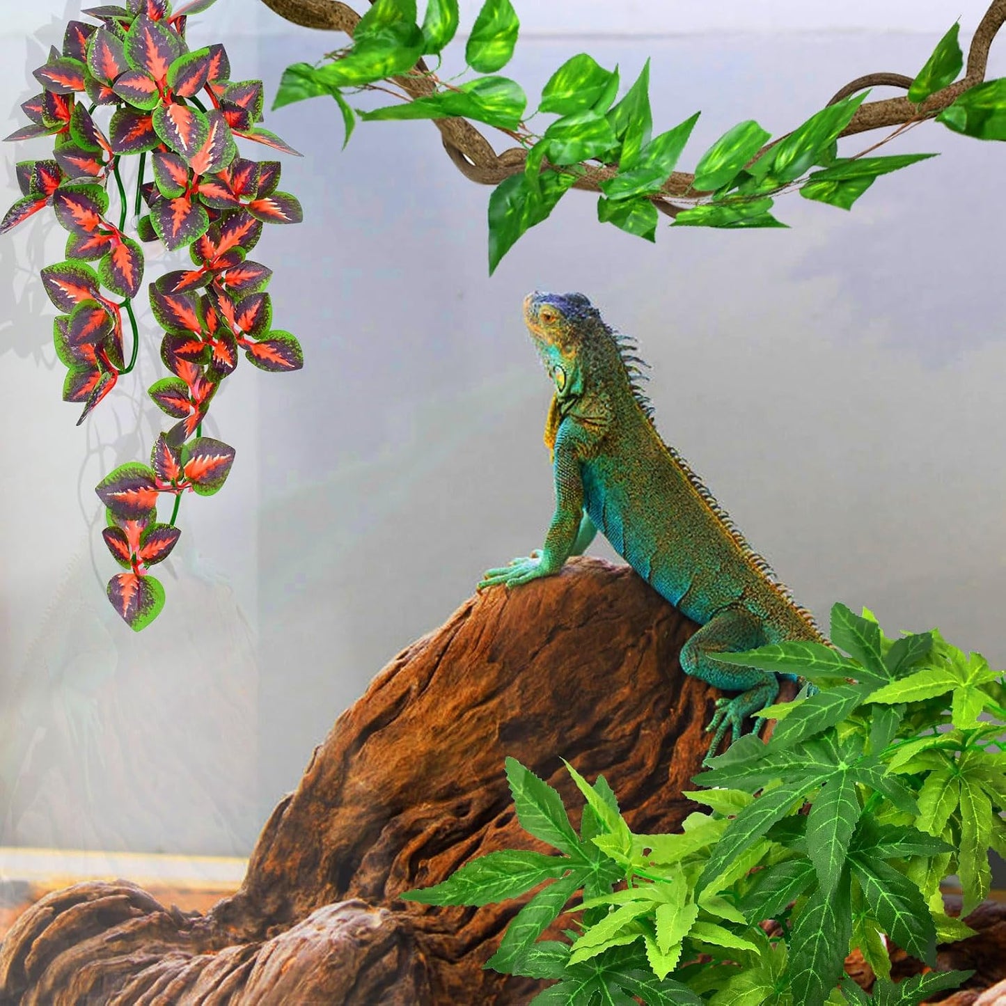 Reptile Plants, 3 PCS Amphibian Hanging Plants with Suction Cup for Snake, Bearded Dragons, Lizards, Geckos, Toads, Hermit Crab Tank Pets Habitat Decorations
