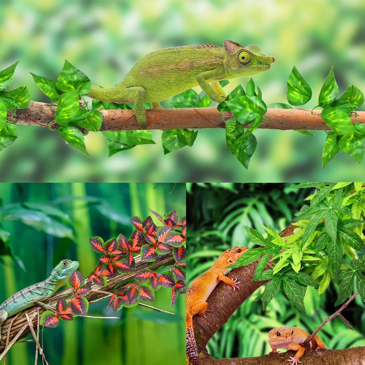 Reptile Plants, 3 PCS Amphibian Hanging Plants with Suction Cup for Snake, Bearded Dragons, Lizards, Geckos, Toads, Hermit Crab Tank Pets Habitat Decorations