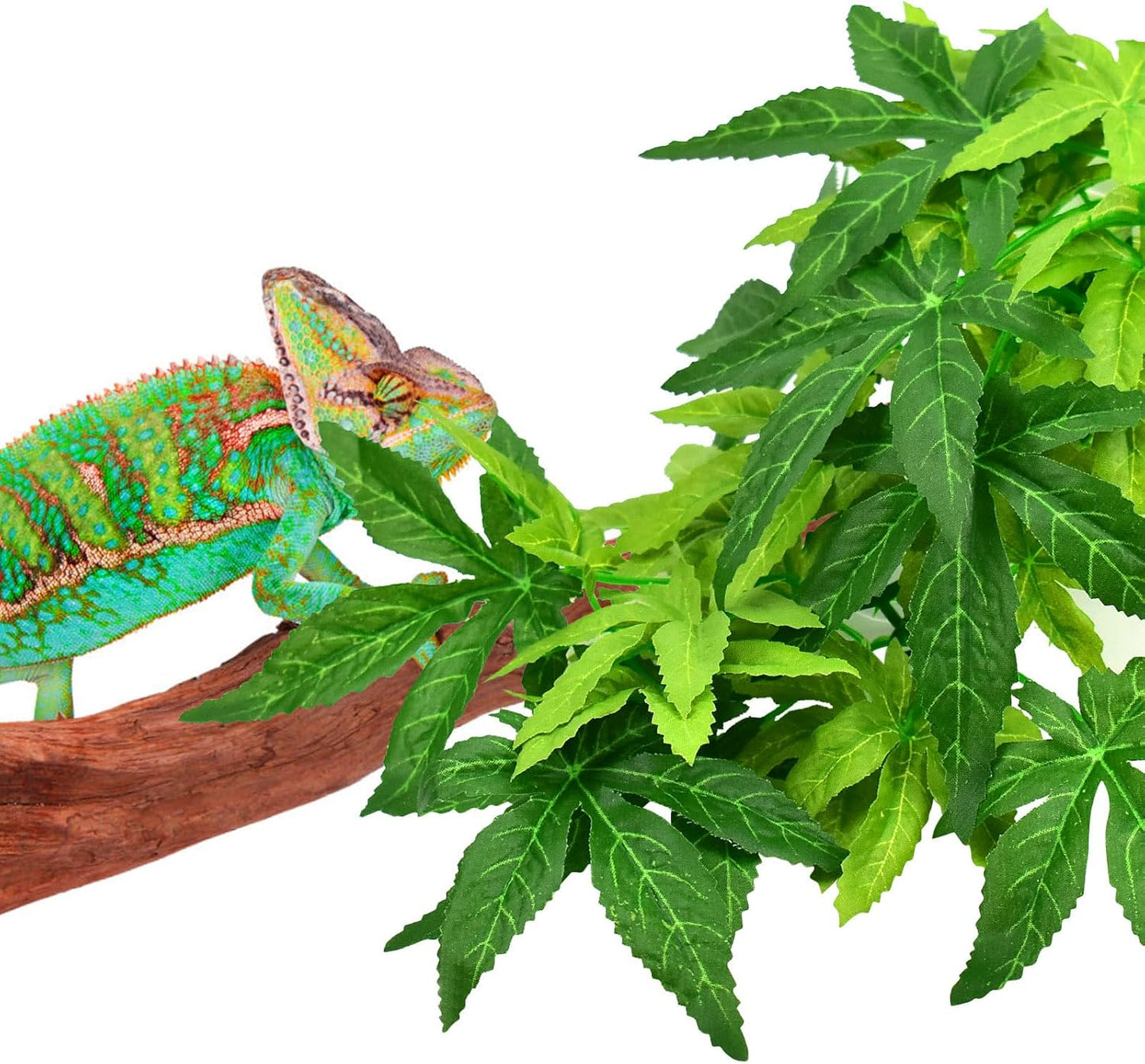 Reptile Plants, 3 PCS Amphibian Hanging Plants with Suction Cup for Snake, Bearded Dragons, Lizards, Geckos, Toads, Hermit Crab Tank Pets Habitat Decorations