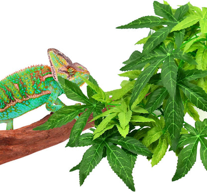 Reptile Plants, 3 PCS Amphibian Hanging Plants with Suction Cup for Snake, Bearded Dragons, Lizards, Geckos, Toads, Hermit Crab Tank Pets Habitat Decorations
