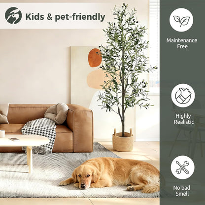 Olive Trees Artificial Indoor 6FT, Faux Olive Tree with Woven Basket & Natural-Looking Wood Trunk, Realistic Leaves & Fruits, Maintenance-Free Tall Fake Olive Tree for Modern Home Office Decor