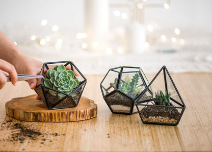3 Pack Fake Succulents in Geometric Glass Terrarium Gold Office Decor | Lifelike Mini Fake Plants, 3 Shapes Metal Frame Pots, Fits Desk Shelf Office Home, No Maintenance, Gift Idea for Women Girls