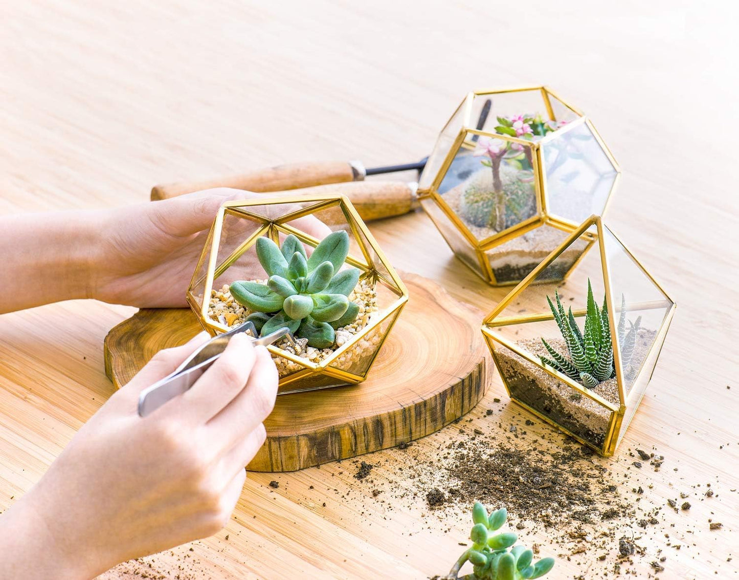 3 Pack Fake Succulents in Geometric Glass Terrarium Gold Office Decor | Lifelike Mini Fake Plants, 3 Shapes Metal Frame Pots, Fits Desk Shelf Office Home, No Maintenance, Gift Idea for Women Girls