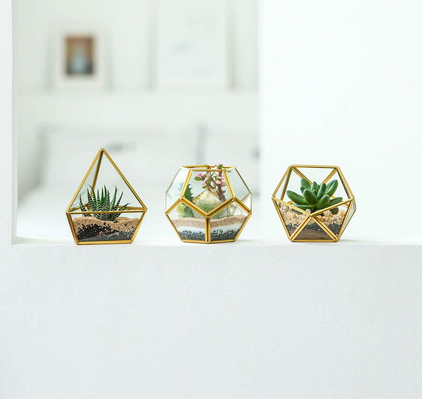 3 Pack Fake Succulents in Geometric Glass Terrarium Gold Office Decor | Lifelike Mini Fake Plants, 3 Shapes Metal Frame Pots, Fits Desk Shelf Office Home, No Maintenance, Gift Idea for Women Girls