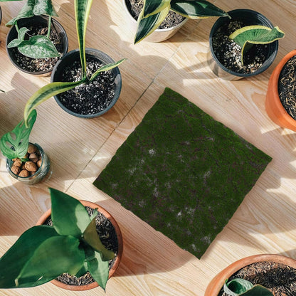 Artificial Moss Mat Rug DIY Synthetic Turf 30cm Plastic Green