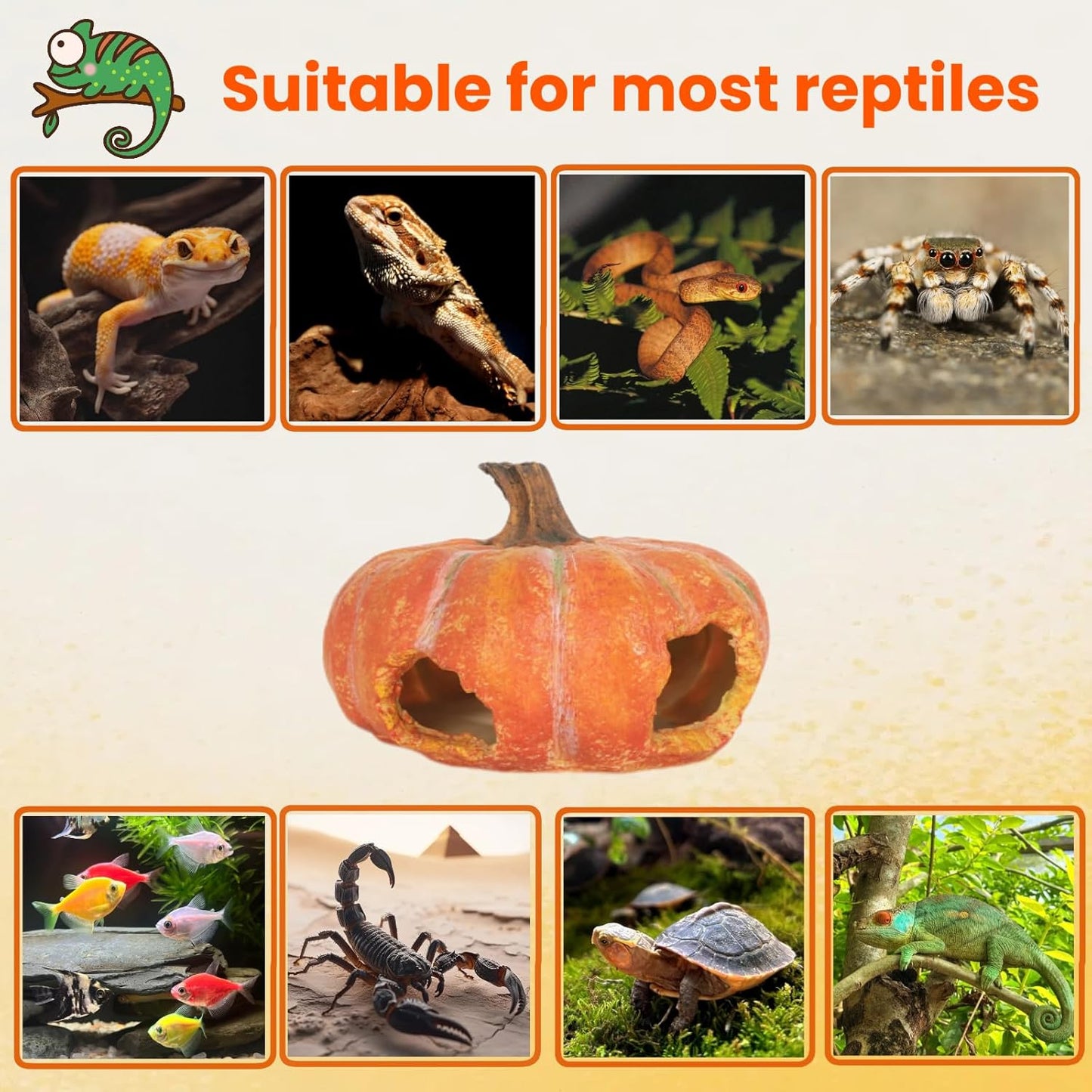 Aquarium Rock Cave House, Natural Looking Rocks | Built with durable materials, these reptile cave shelters work great as aquarium decor.