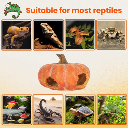 Aquarium Rock Cave House, Natural Looking Rocks | Built with durable materials, these reptile cave shelters work great as aquarium decor.