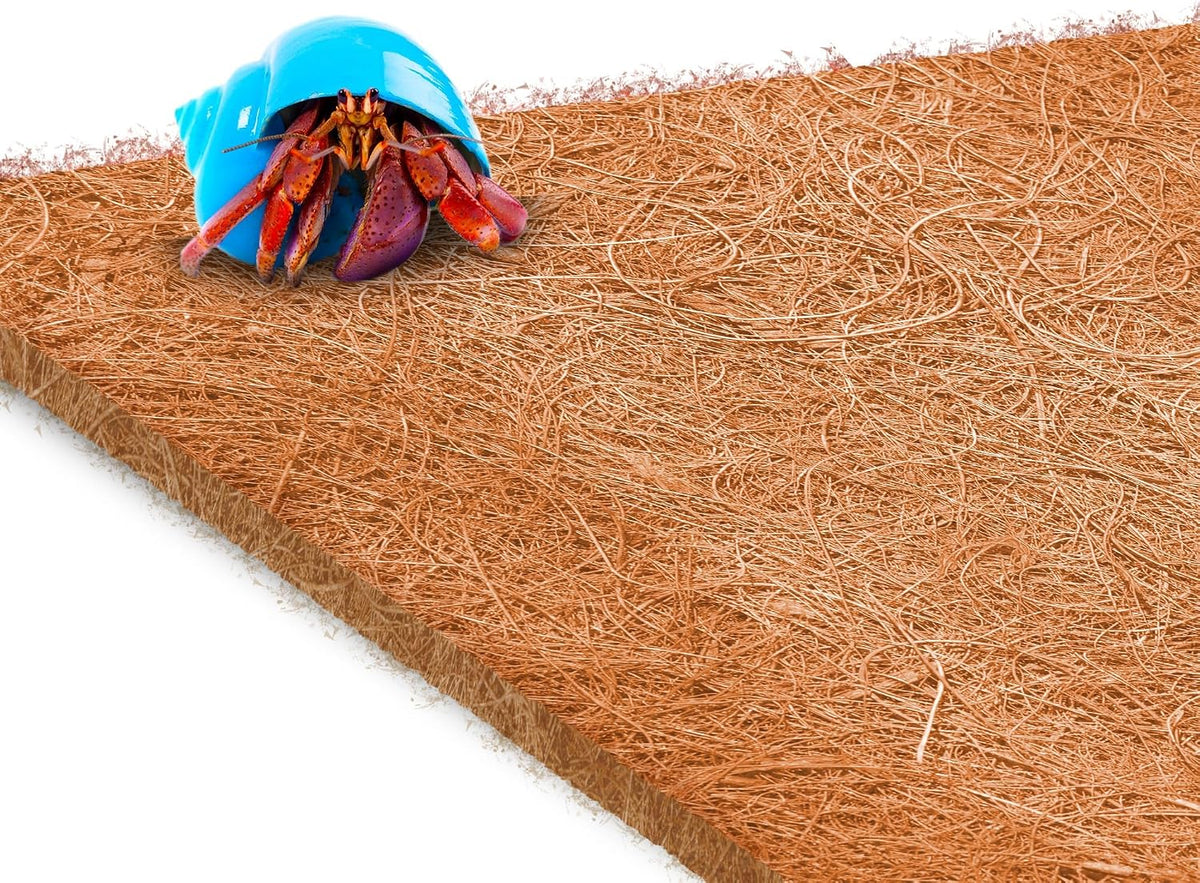 Coco Fiber Hermit Crab & Reptile Carpet, Gecko Terrarium Liner, and Floor Bedding Substrate & Supplies, Climbing Wall Carpet & Mat for Hermit Crabs, 10" x 13", 1 Piece Per Pack