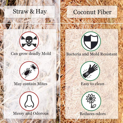 Coco Fiber Hermit Crab & Reptile Carpet, Gecko Terrarium Liner, and Floor Bedding Substrate & Supplies, Climbing Wall Carpet & Mat for Hermit Crabs, 10" x 13", 1 Piece Per Pack