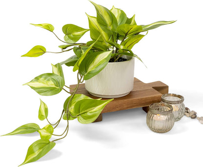 Light Green Fake pothos Plant | Fake Plant for Shelf Decor | Artificial Trailing Ivy Plant with 5" Wide Ceramic Pot | Faux pothos | Feaux Pothos