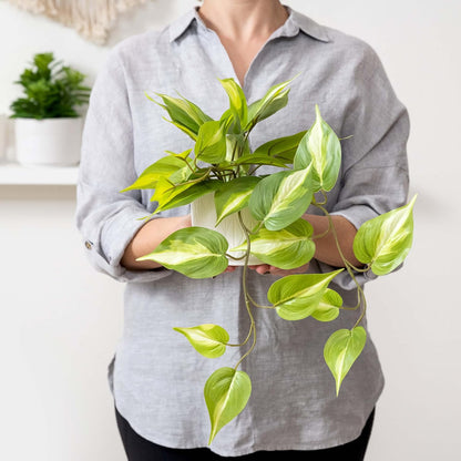 Light Green Fake pothos Plant | Fake Plant for Shelf Decor | Artificial Trailing Ivy Plant with 5" Wide Ceramic Pot | Faux pothos | Feaux Pothos