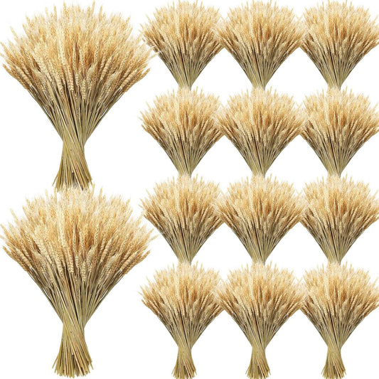 600 Stems Dried Wheat Stalks for Decor Natural Wheat Grass Sheaves Bundle Farmhouse Artificial Flowers Arrangement for DIY Wedding Table Home Centerpieces Party Decorative (16 Inch)