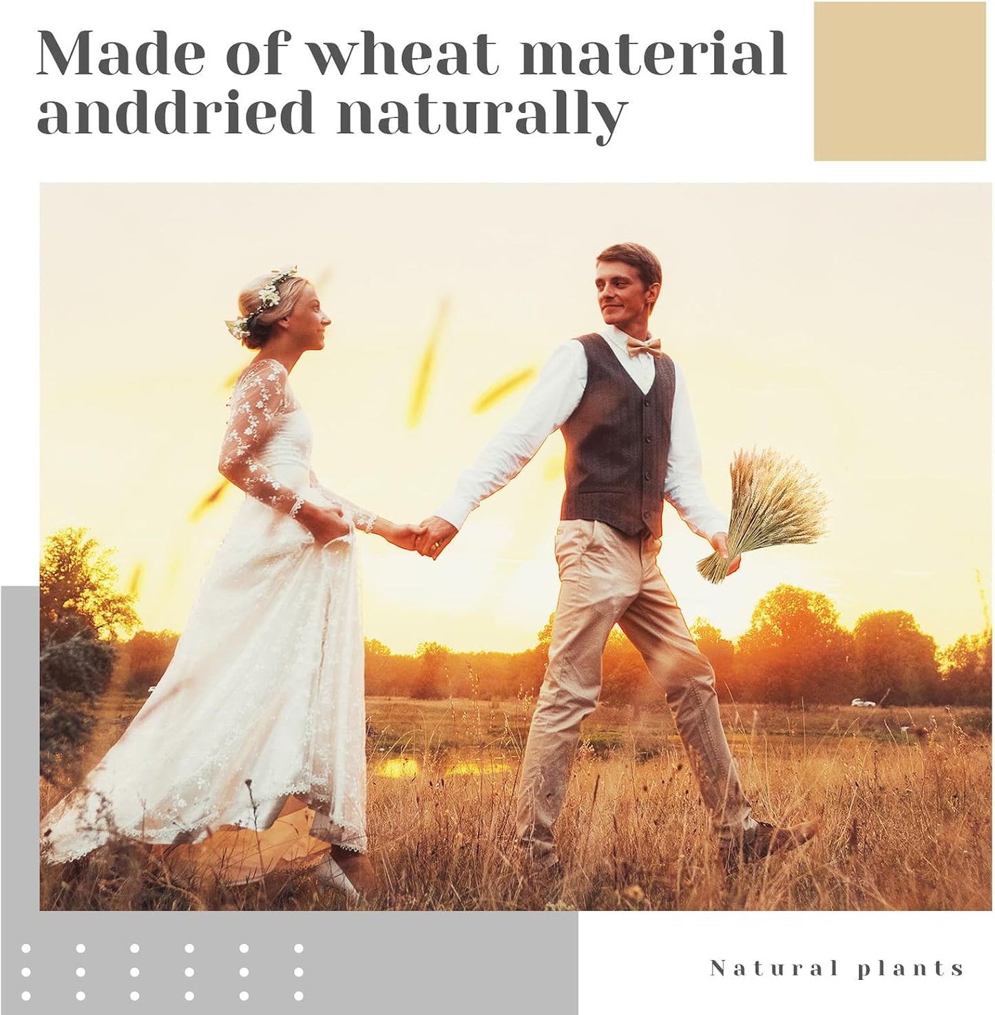 600 Stems Dried Wheat Stalks for Decor Natural Wheat Grass Sheaves Bundle Farmhouse Artificial Flowers Arrangement for DIY Wedding Table Home Centerpieces Party Decorative (16 Inch)