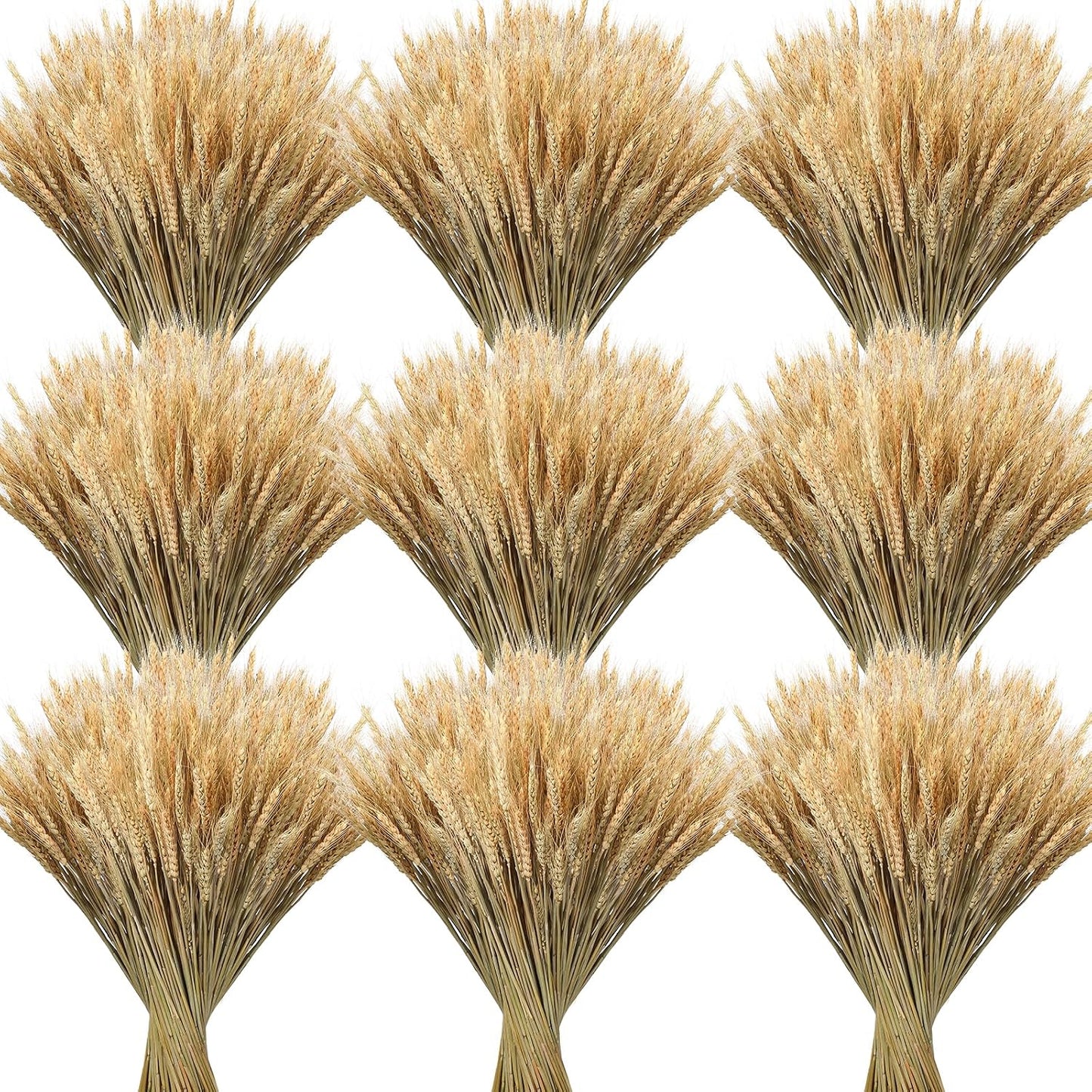 600 Stems Dried Wheat Stalks for Decor Natural Wheat Grass Sheaves Bundle Farmhouse Artificial Flowers Arrangement for DIY Wedding Table Home Centerpieces Party Decorative (16 Inch)