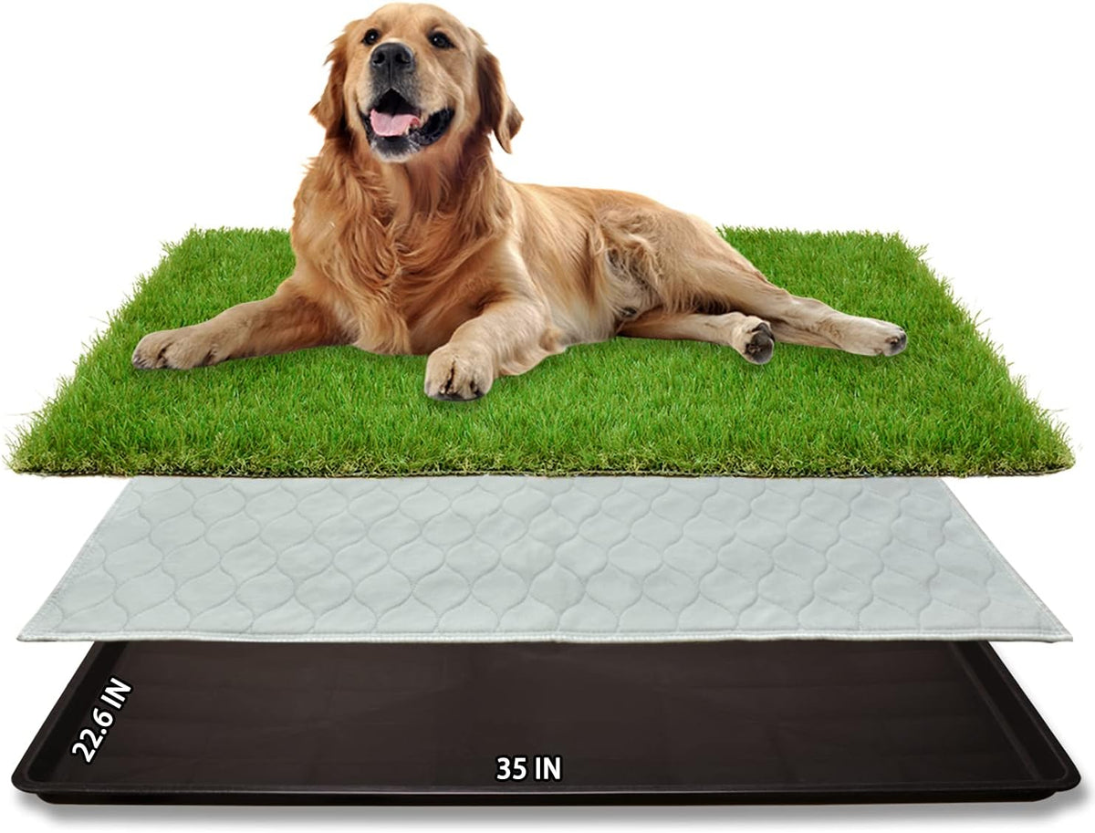 Dog Grass Pad with Tray for Dogs Puppy Potty Training to Pee & Poop Indoor