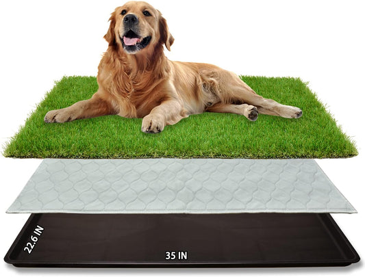 Dog Grass Pad with Tray for Dogs Puppy Potty Training to Pee & Poop Indoor
