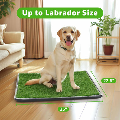 Dog Grass Pad with Tray for Dogs Puppy Potty Training to Pee & Poop Indoor