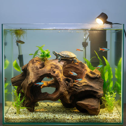 Porous Natural Driftwood for Aquarium, Aquascaping Driftwood with Holes, Hand-Selected Tunnels & Hideouts, Aquascaping Hardscape, Terrarium Reptile Décor, No Paint or Resin (12-16" (30-40 cm))