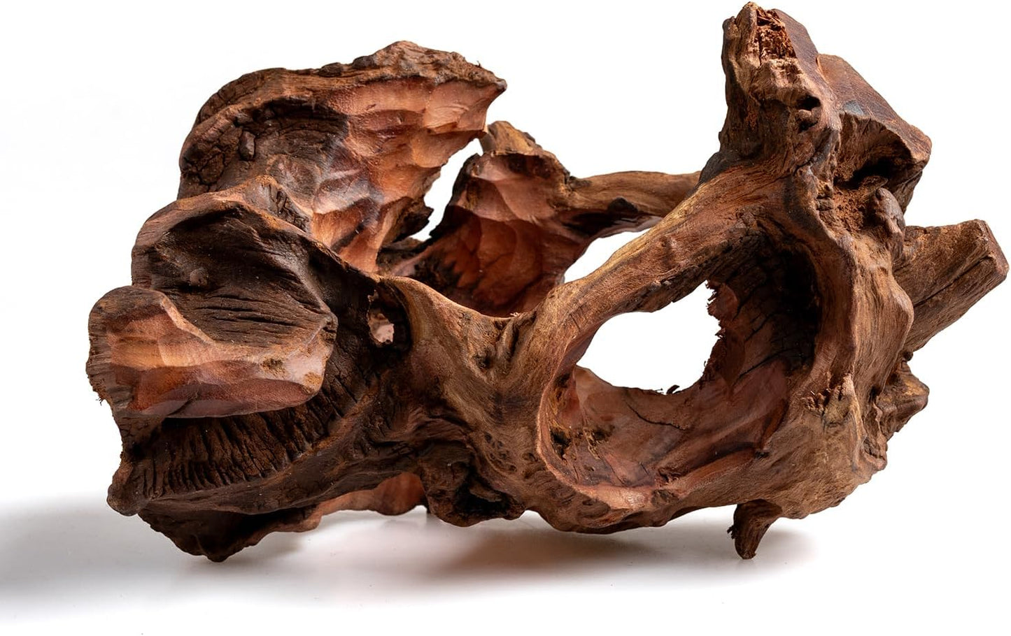 Porous Natural Driftwood for Aquarium, Aquascaping Driftwood with Holes, Hand-Selected Tunnels & Hideouts, Aquascaping Hardscape, Terrarium Reptile Décor, No Paint or Resin (12-16" (30-40 cm))