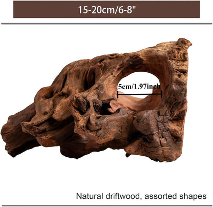 Porous Natural Driftwood for Aquarium, Aquascaping Driftwood with Holes, Hand-Selected Tunnels & Hideouts, Aquascaping Hardscape, Terrarium Reptile Décor, No Paint or Resin (12-16" (30-40 cm))