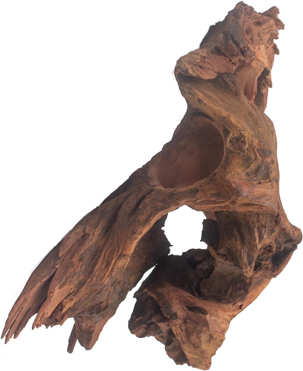Porous Natural Driftwood for Aquarium, Aquascaping Driftwood with Holes, Hand-Selected Tunnels & Hideouts, Aquascaping Hardscape, Terrarium Reptile Décor, No Paint or Resin (12-16" (30-40 cm))