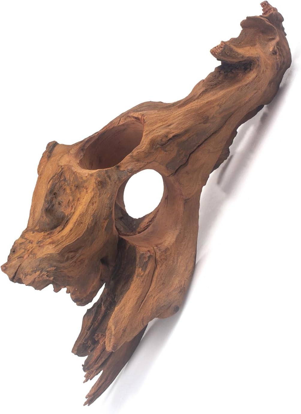 Porous Natural Driftwood for Aquarium, Aquascaping Driftwood with Holes, Hand-Selected Tunnels & Hideouts, Aquascaping Hardscape, Terrarium Reptile Décor, No Paint or Resin (12-16" (30-40 cm))