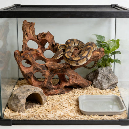 Porous Natural Driftwood for Aquarium, Aquascaping Driftwood with Holes, Hand-Selected Tunnels & Hideouts, Aquascaping Hardscape, Terrarium Reptile Décor, No Paint or Resin (12-16" (30-40 cm))