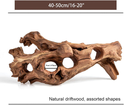 Porous Natural Driftwood for Aquarium, Aquascaping Driftwood with Holes, Hand-Selected Tunnels & Hideouts, Aquascaping Hardscape, Terrarium Reptile Décor, No Paint or Resin (12-16" (30-40 cm))