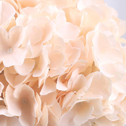 65pcs White Hydrangea Artificial Flowers Bulk (Not Squished, No Steaming Need) Ivory Faux Hydrangeas Bouquet Silk Flowers with Stems for Wedding,Party,Centerpieces,Home,Baby Shower Decor