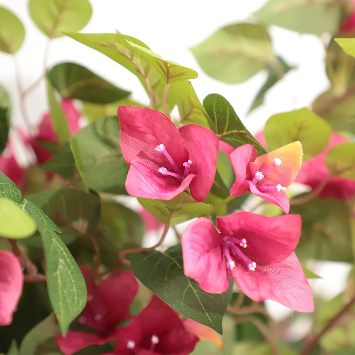 5 Feet Artificial Bougainvillea Tree with Flowers in Plastic Pot Faux Blooming Tree for Decor Indoor or Outdoor Home Office, 1 PCS(63 inch)