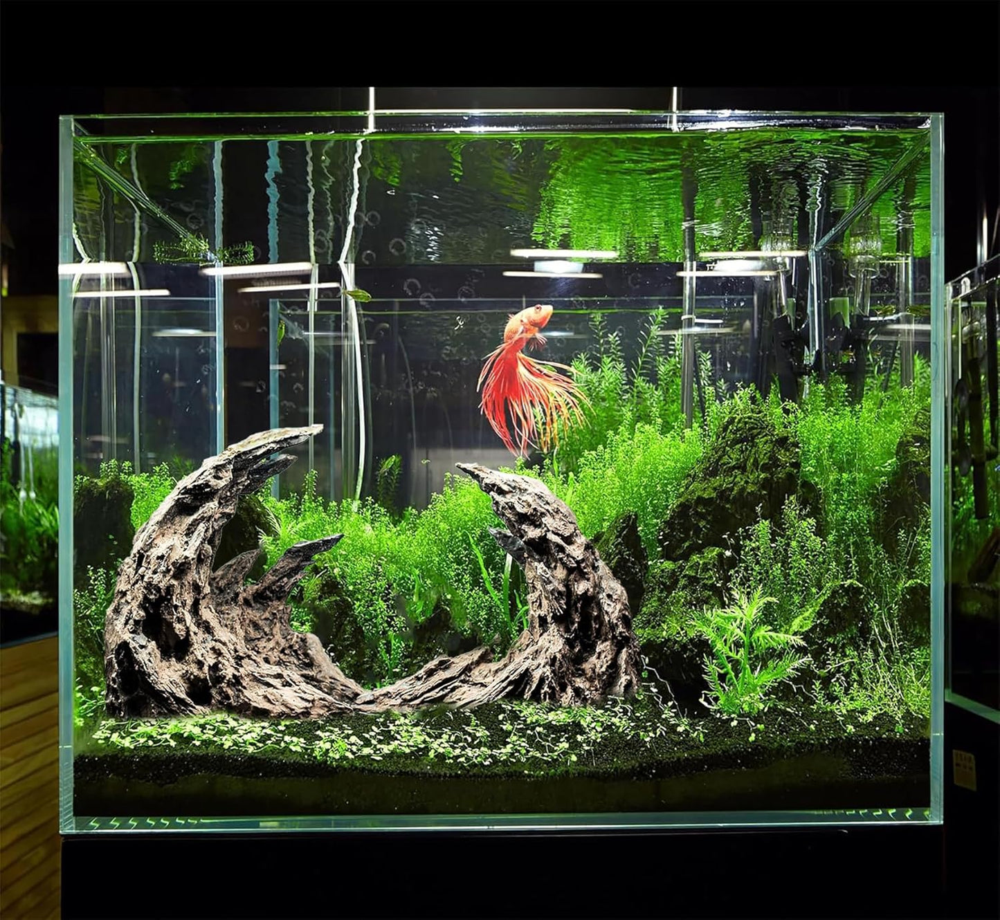 Fish Tank Decor- Jagged Canyon Rock Formation ，Made of Solid Sandstone，Suitable for a Variety of Fish Tank Scenes, DIY Planting Moss, Safe and Non-Toxic