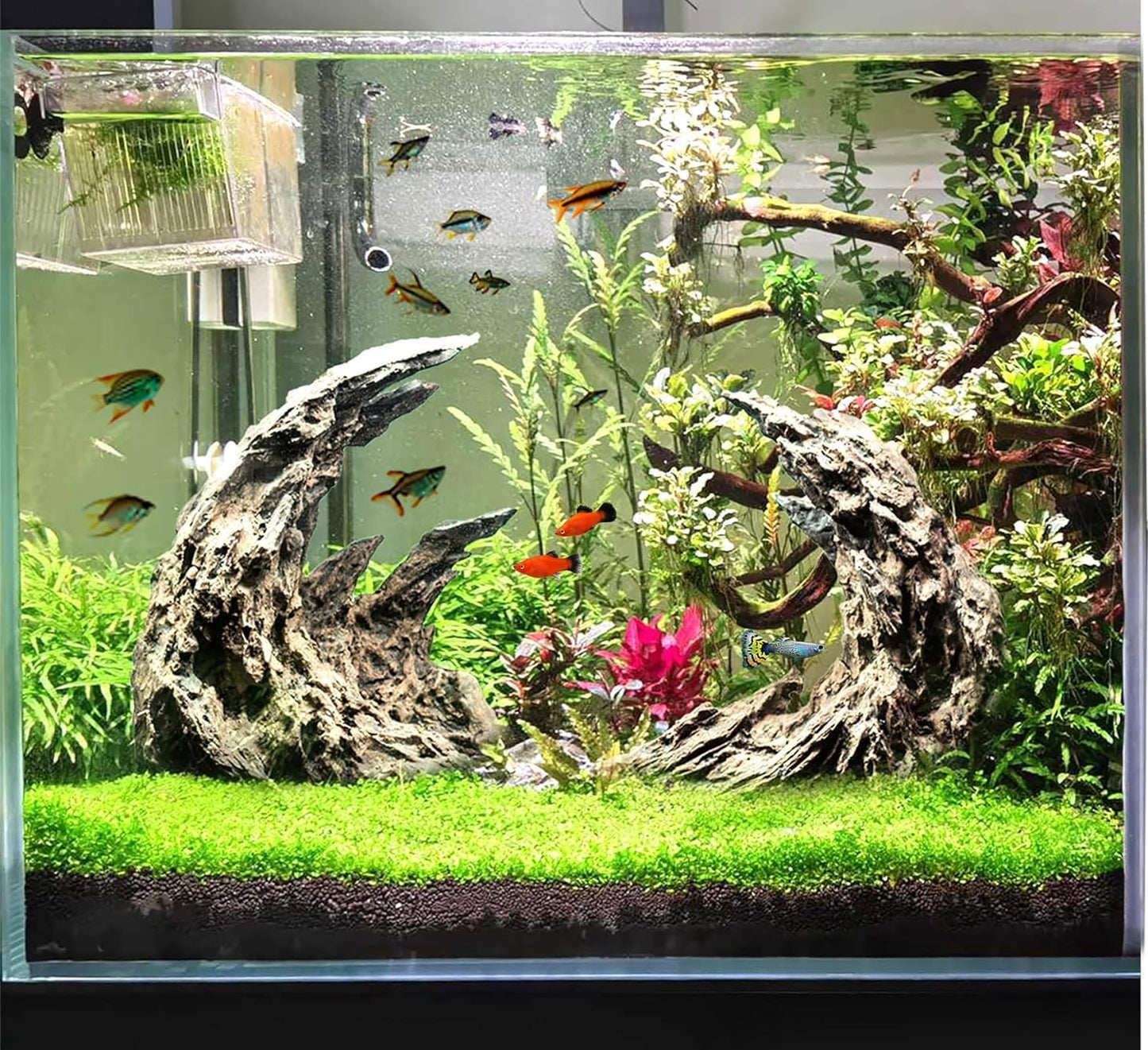 Fish Tank Decor- Jagged Canyon Rock Formation ，Made of Solid Sandstone，Suitable for a Variety of Fish Tank Scenes, DIY Planting Moss, Safe and Non-Toxic