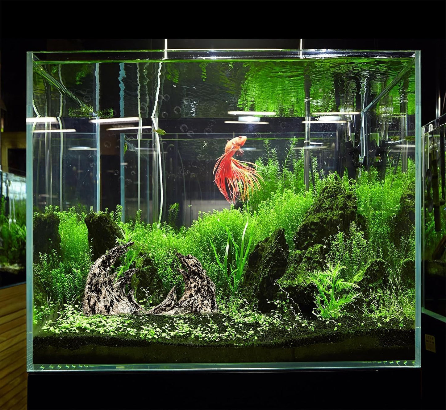 Fish Tank Decor- Jagged Canyon Rock Formation ，Made of Solid Sandstone，Suitable for a Variety of Fish Tank Scenes, DIY Planting Moss, Safe and Non-Toxic